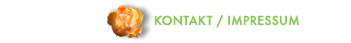 Kontakt und Impressum